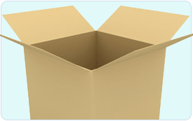 Opened Package